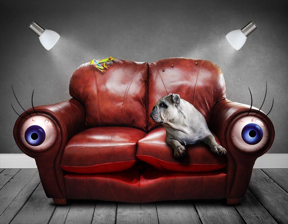 Free Image of Dog Sitting on Red Couch 