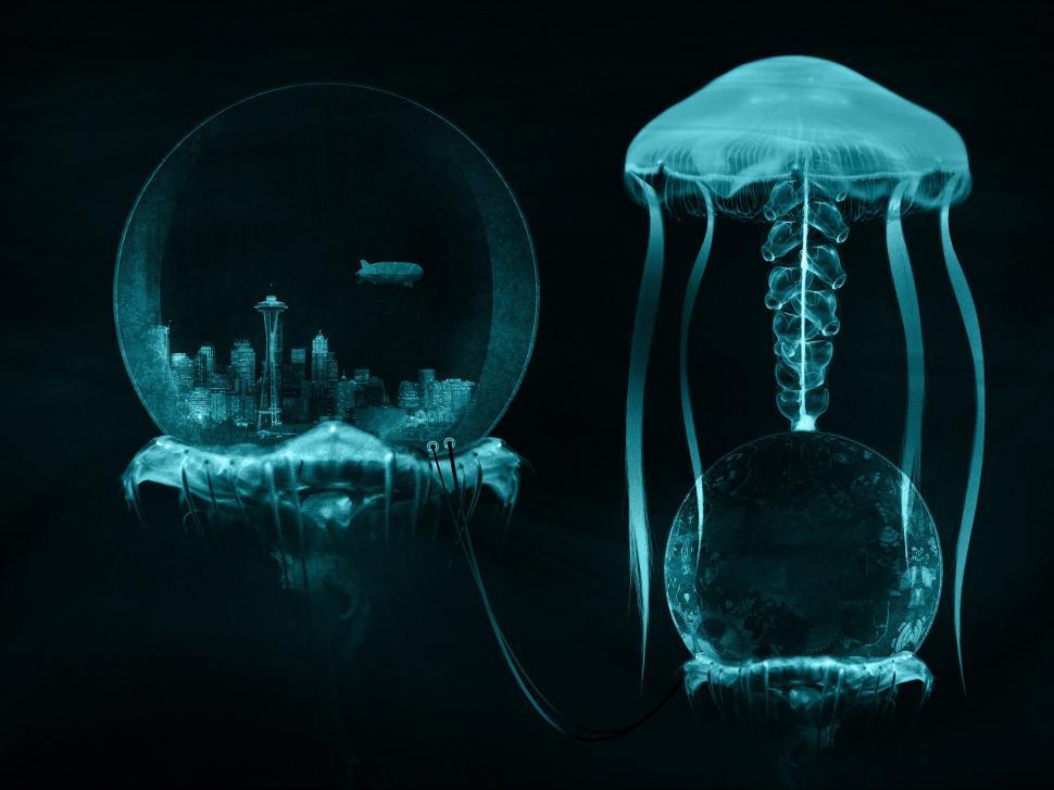 Free Image of Jellyfish and Jellyfish in a Dark Room 