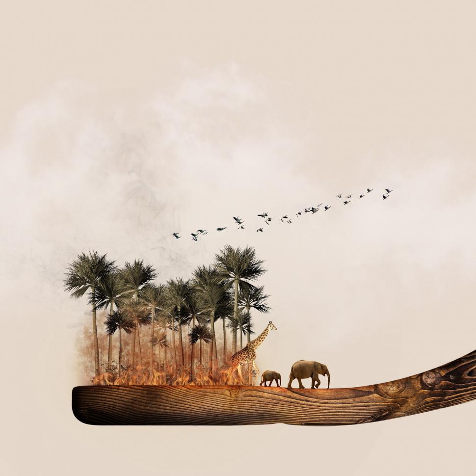 Free Image of Boat With Elephants and Birds 