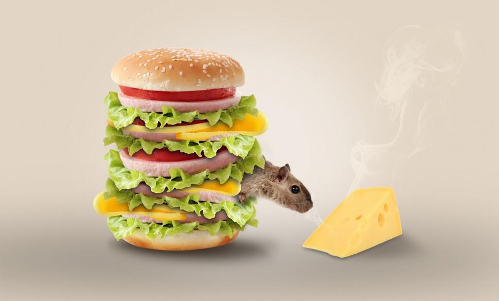 Free Image of Mouse in Front of Giant Hamburger With Cheese 