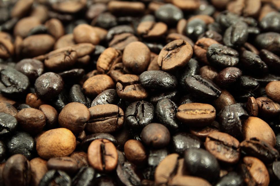 Free Image of A Pile of Coffee Beans and Coffee Beans 