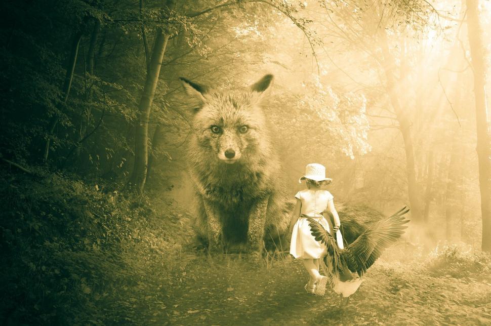Free Image of Fox and Woman Encounter in the Woods 