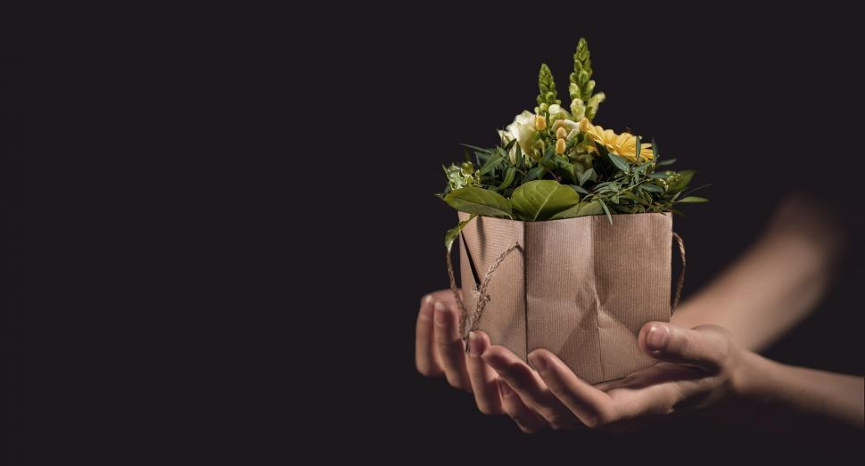 Free Image of Person Holding Bag of Flowers 