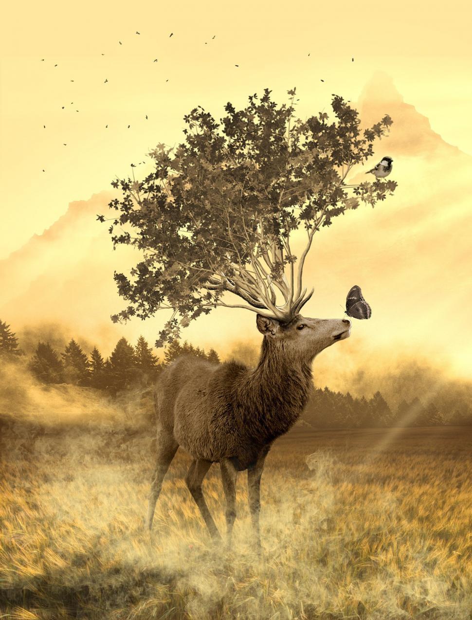 Free Image of Deer With Tree on Head 