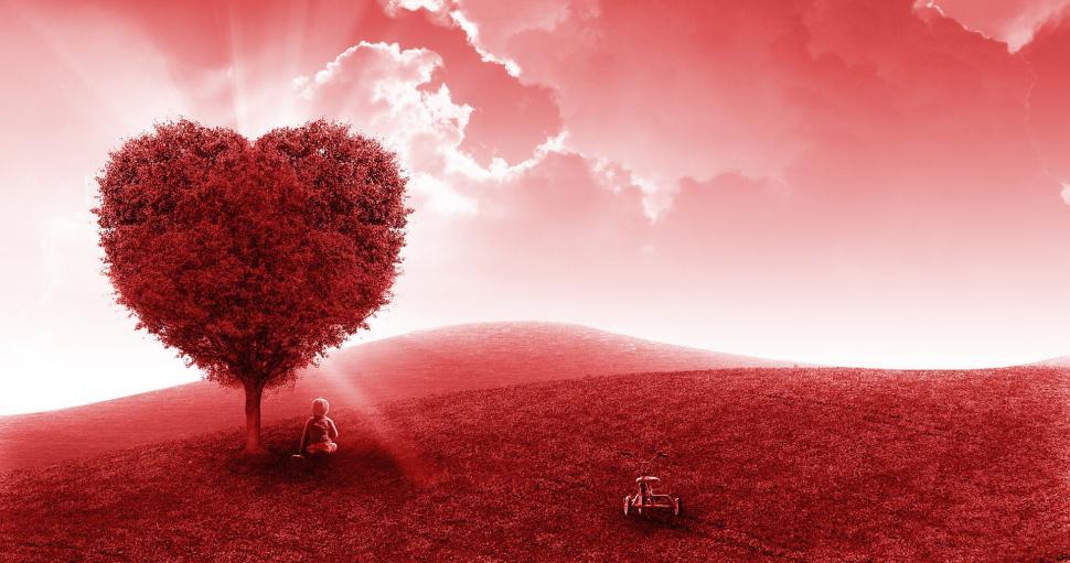 Free Image of Heart Shaped Tree in Field 