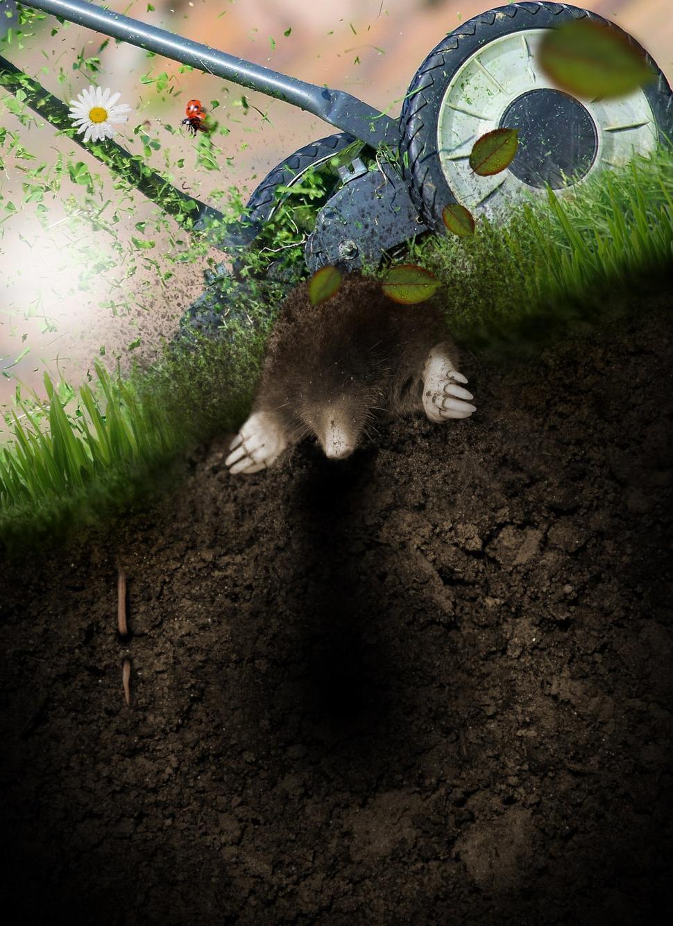 Free Image of Man Digging a Hole in the Ground 