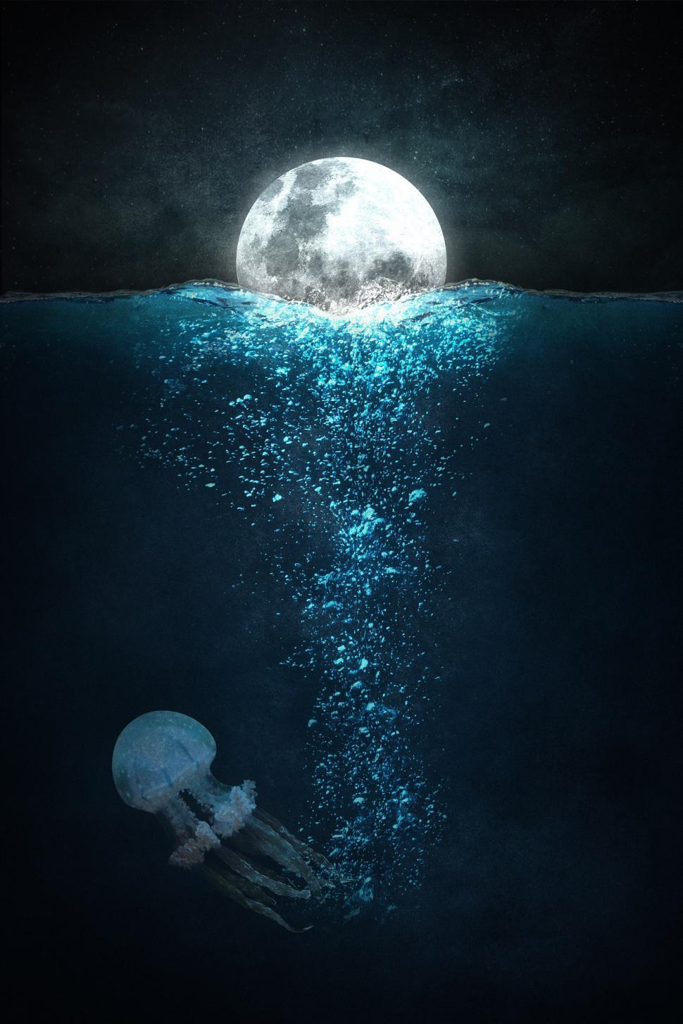 Free Image of Jellyfish Floating in Ocean Under Full Moon 