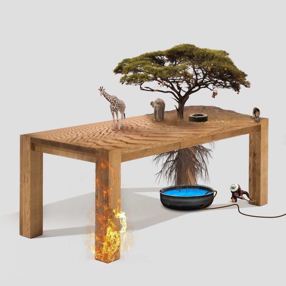 Free Image of Wooden Table With Tree on Top 