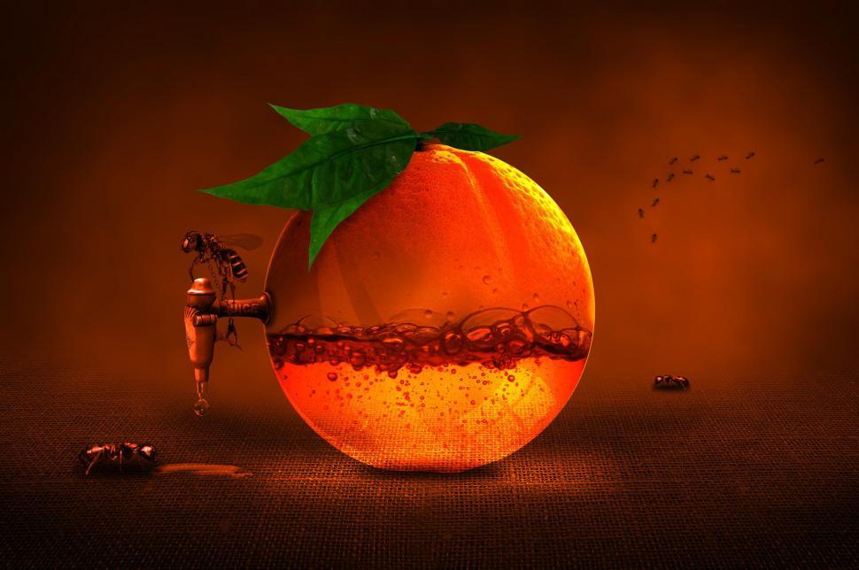 Download Free Stock Photo of composite manipulation photo manipulation orange fruit citrus produce food vitamin vegetable edible fruit healthy yellow fresh color tomato close pumpkin 