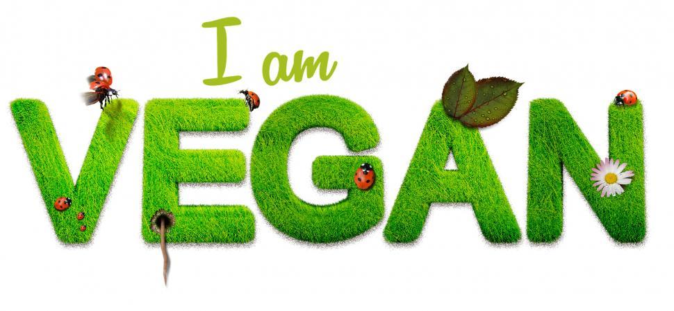 Free Image of I Am Vegan Grass Artwork With Ladybugs and Daisies 