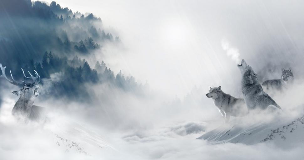 Free Image of Animals Standing on Snow Covered Mountain 