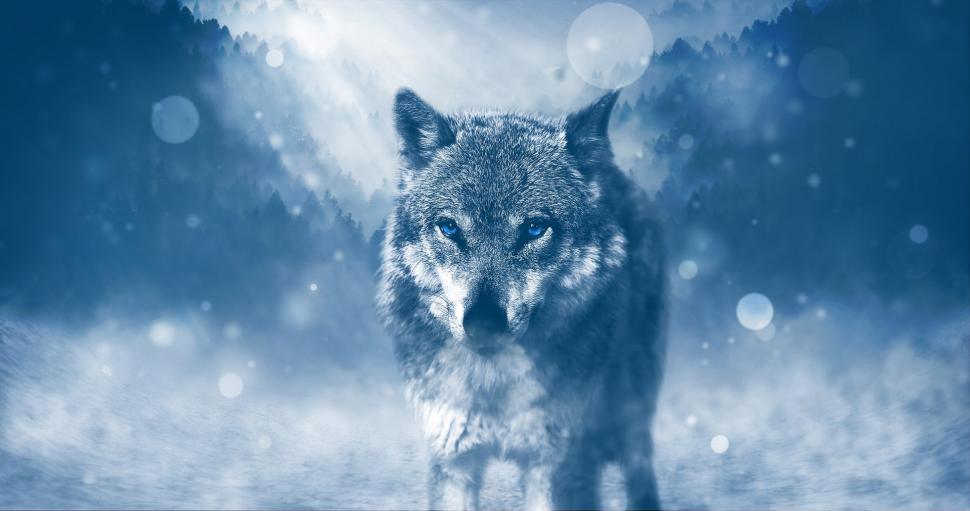 Free Image of Wolf Standing in Snow With Full Moon 