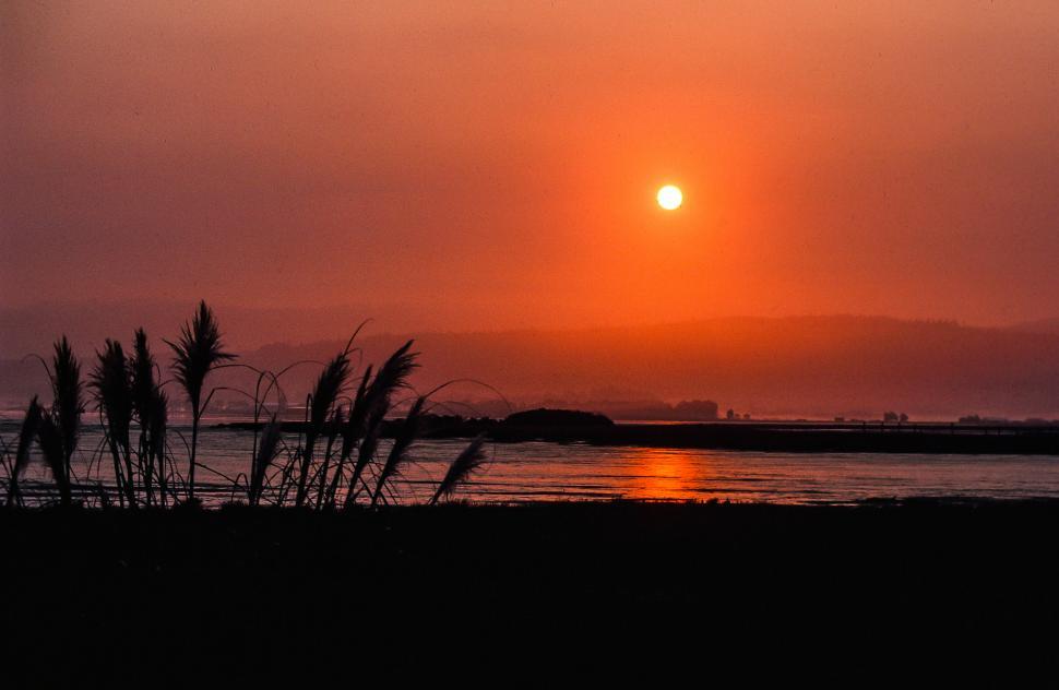 Free Image of Orange Beach Sunset 