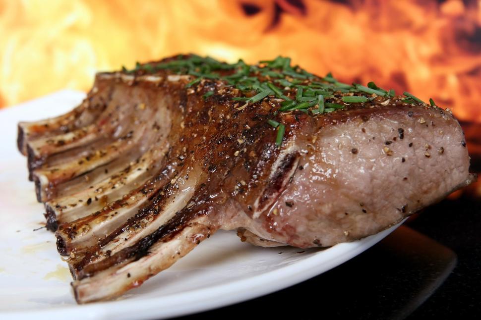 Free Image of Grilled Meat on Plate by Fire 