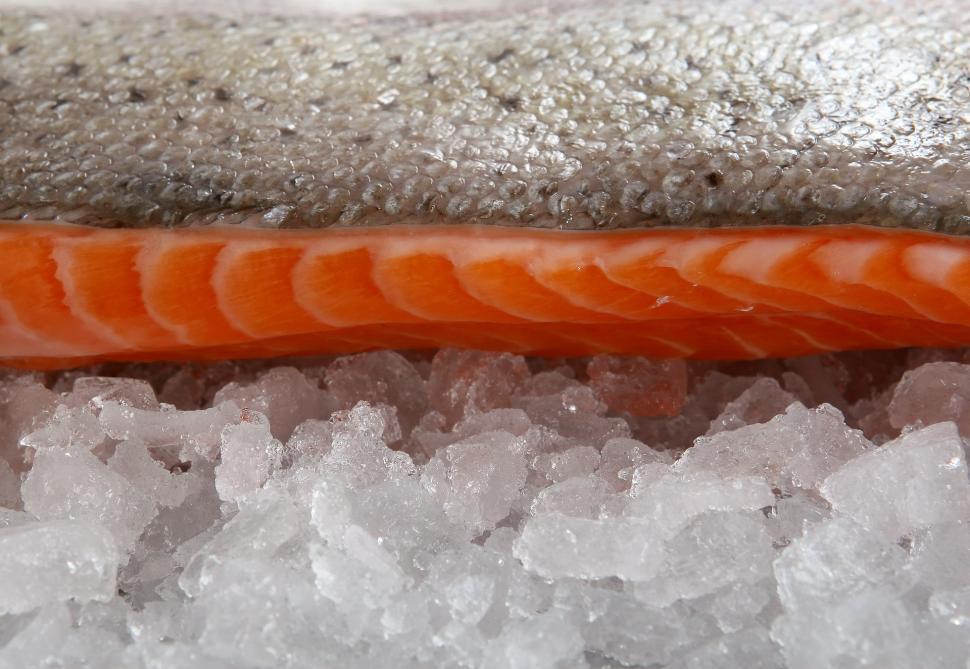 Free Image of A Piece of Salmon on Top of a Pile of Ice 
