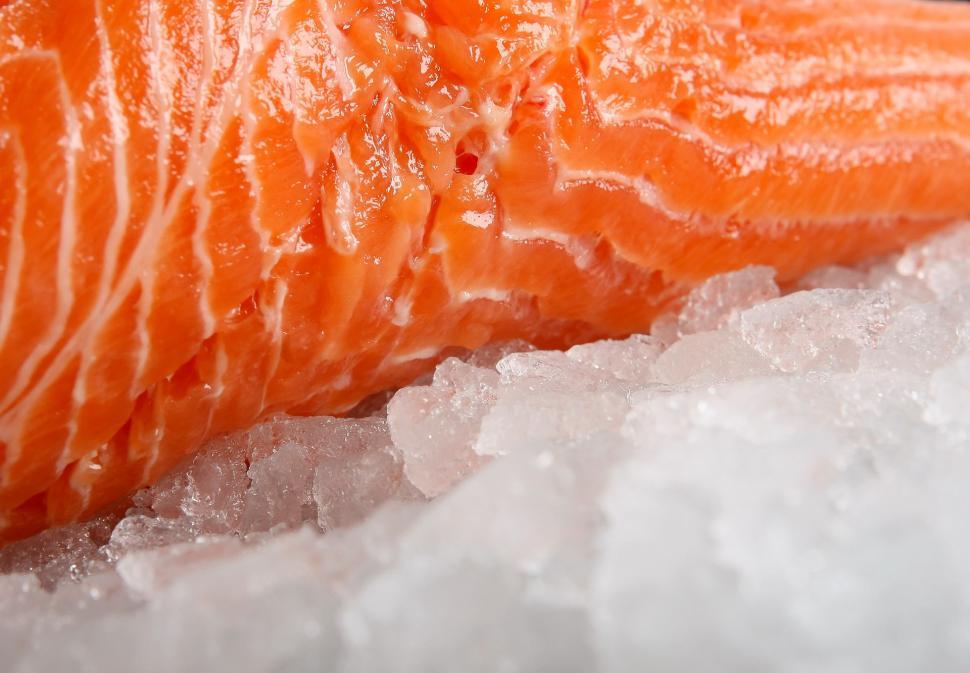 Free Image of Close Up of Fresh Salmon on Ice 