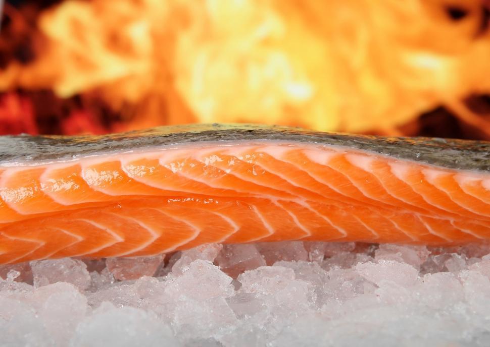 Free Image of Fresh Salmon on Ice 