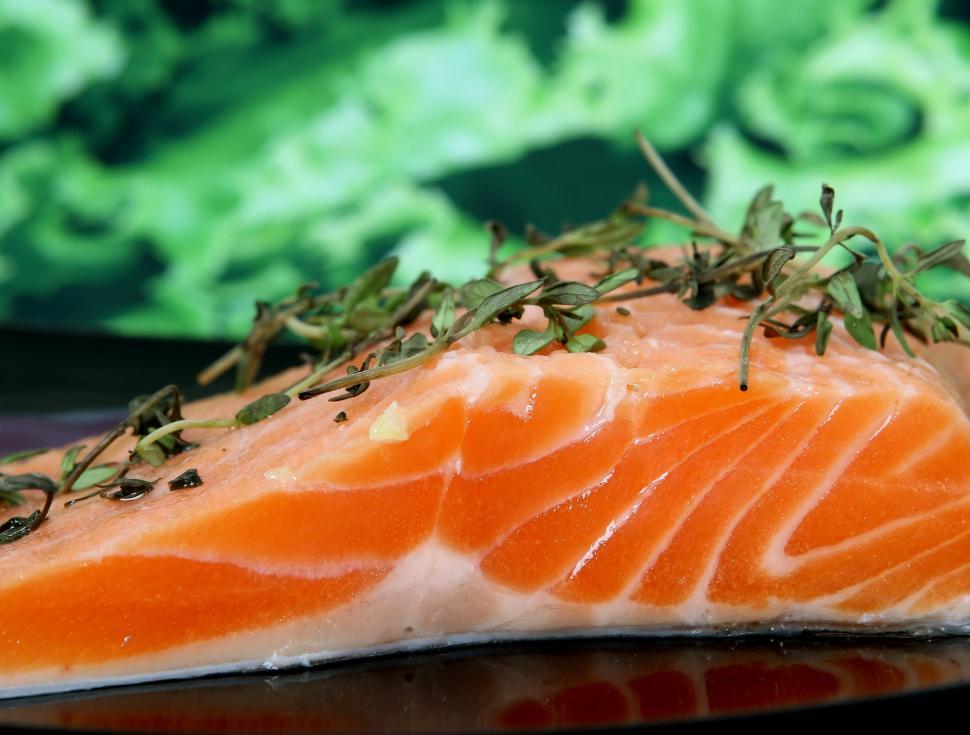 Free Image of Close Up of Fresh Salmon on Plate 