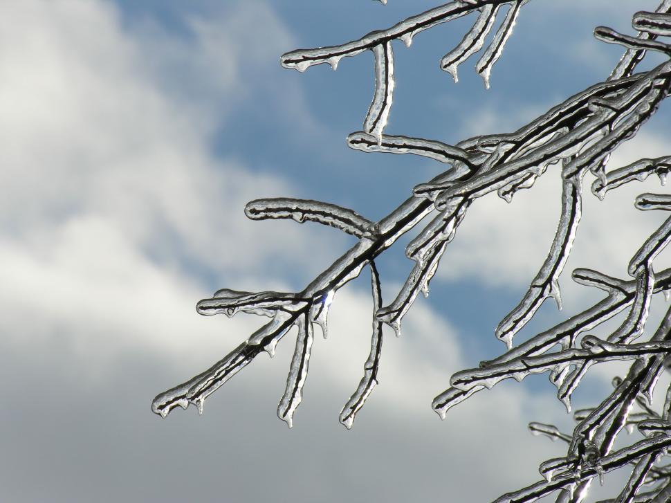 Free Image of Icy cold 