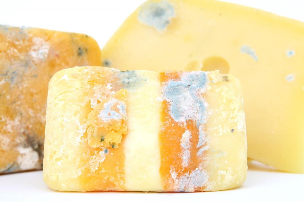 Free Image of Two Pieces of Cheese Next to Each Other 
