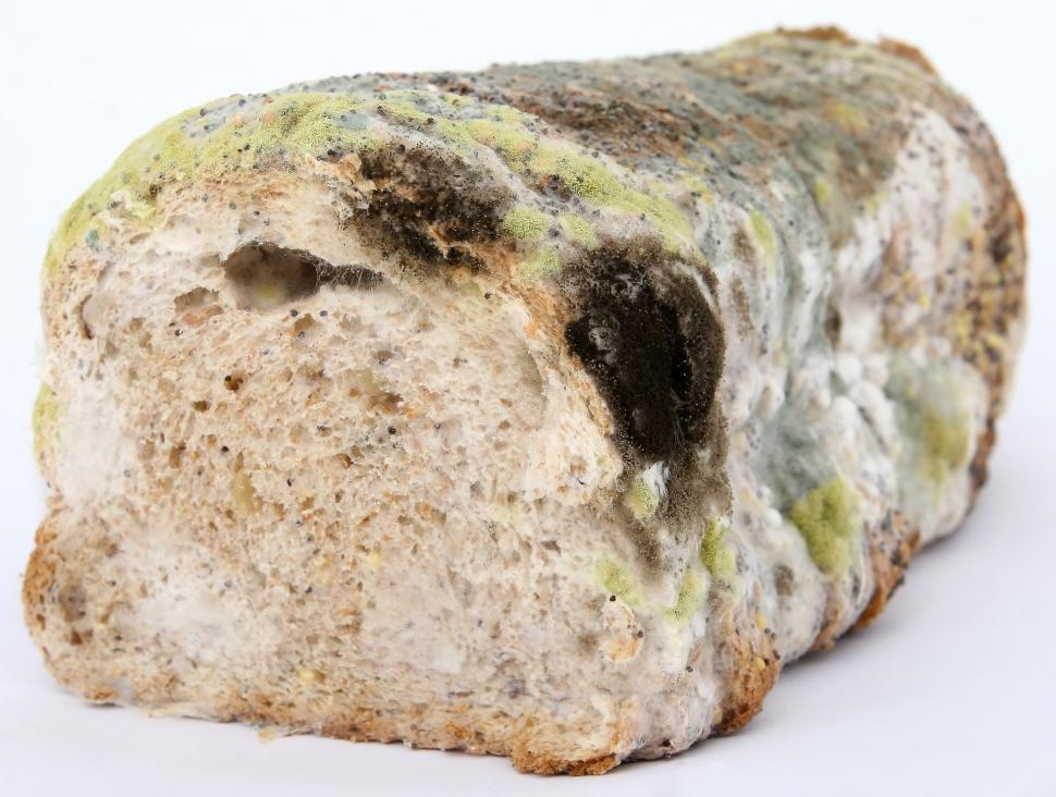 Free Image of Close Up of Piece of Bread on White Background 
