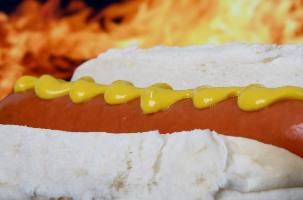 Free Image of Hot Dog on Bun With Mustard 