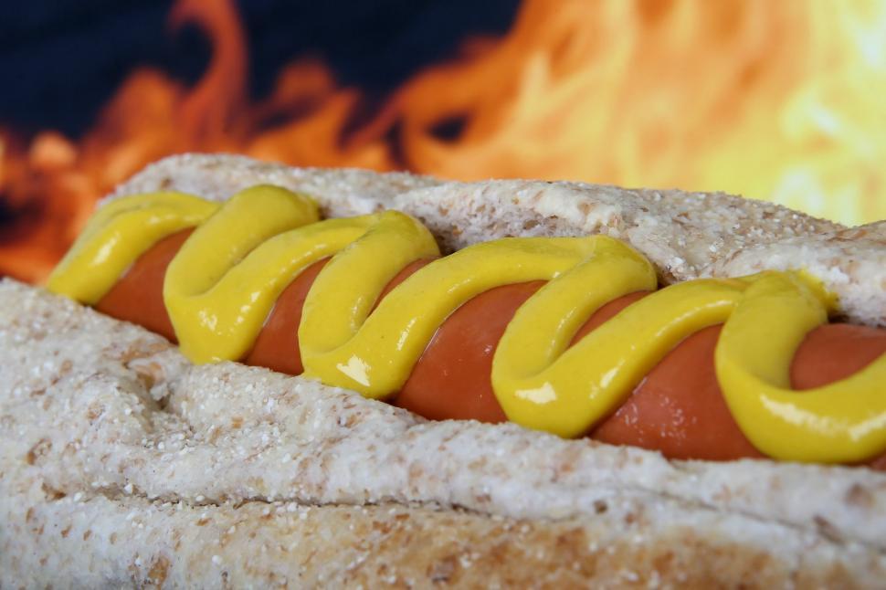 Free Image of Hot Dog With Mustard on a Bun 