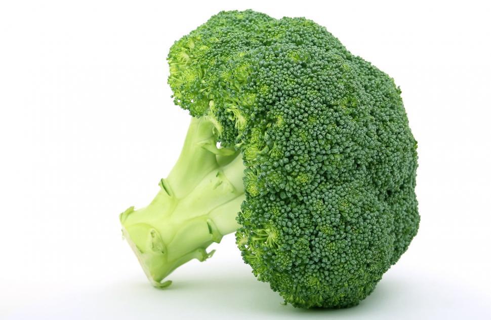 Free Image of A Piece of Broccoli on a White Background 
