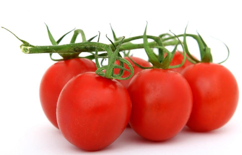 Free Image of Array of Tomatoes on White Background 