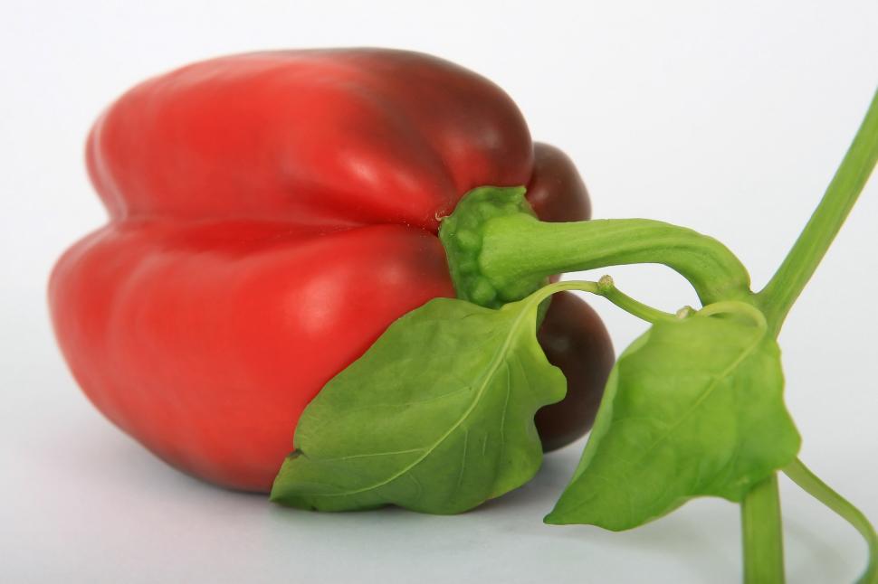 Free Image of Red and Green Pepper on White Background 