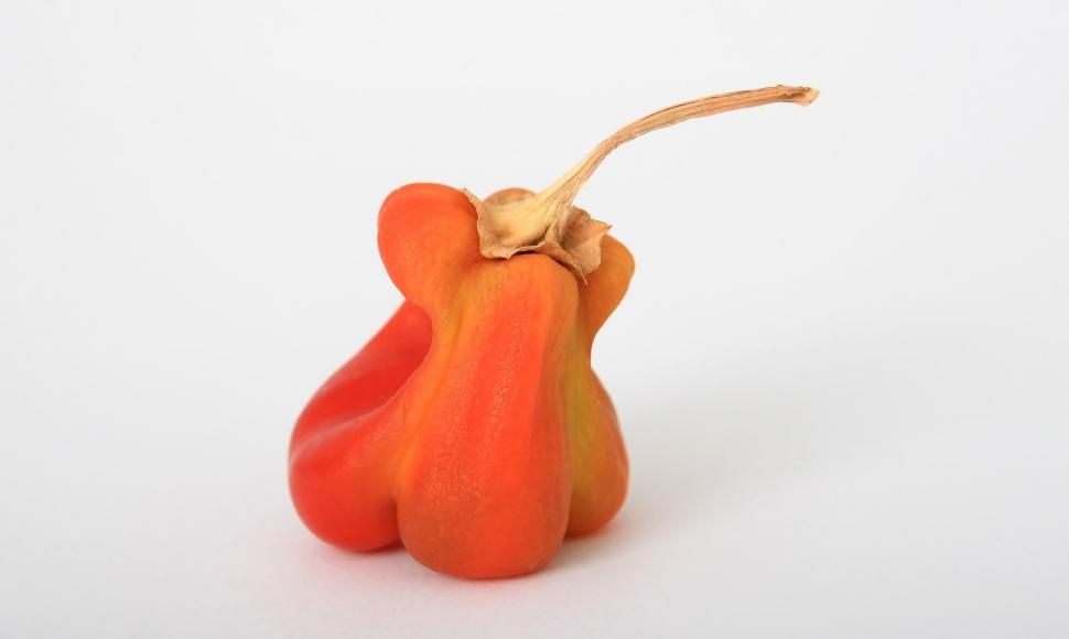 Free Image of Small Orange Figurine Resting on White Surface 