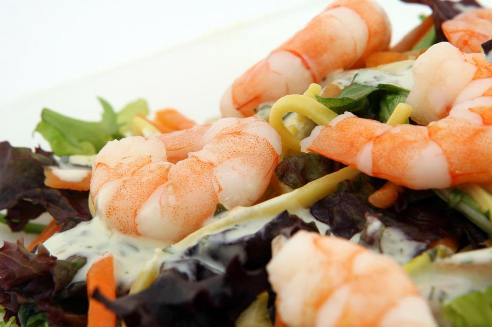 Free Image of Fresh Shrimp and Lettuce Salad 
