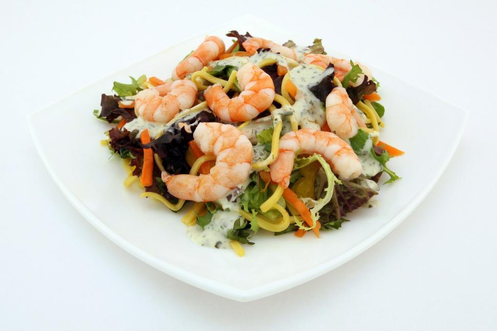Free Image of White Plate With Shrimp Salad 