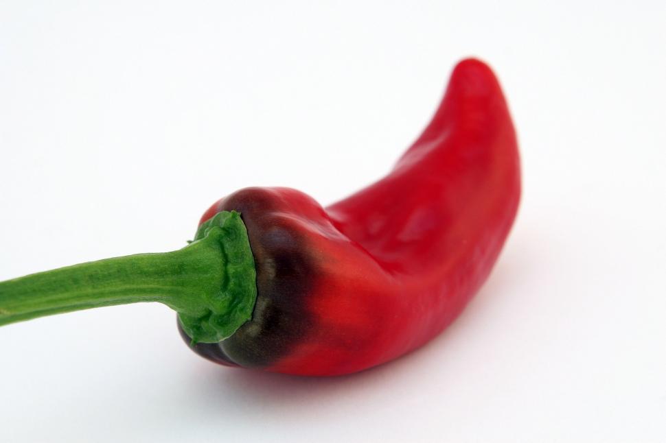 Free Image of Red Chili Pepper With Green Stalk 