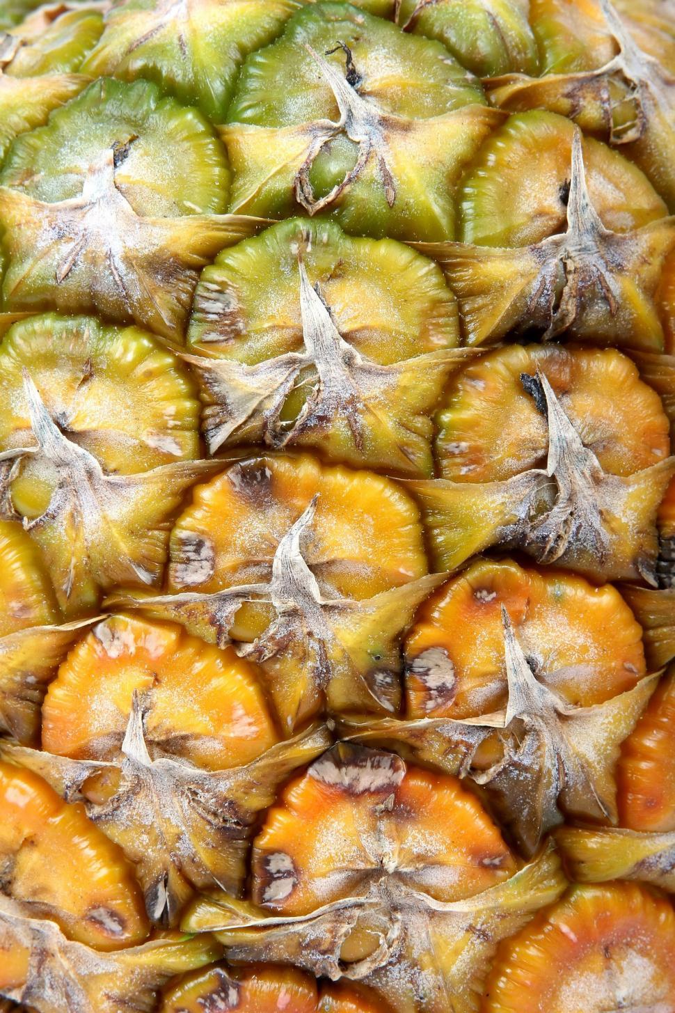 Free Image of Close Up of Pineapple With Assorted Fruit Inside 