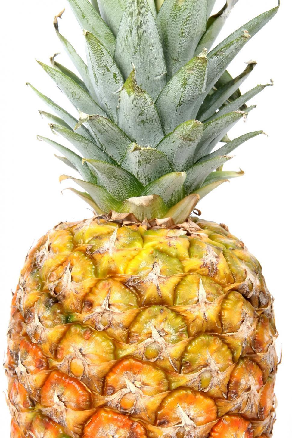 Free Image of Close Up of a Pineapple on a White Background 