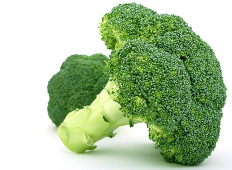 Free Image of Two Pieces of Broccoli on a White Background 
