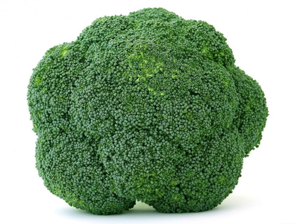 Free Image of Fresh Head of Broccoli on White Background 