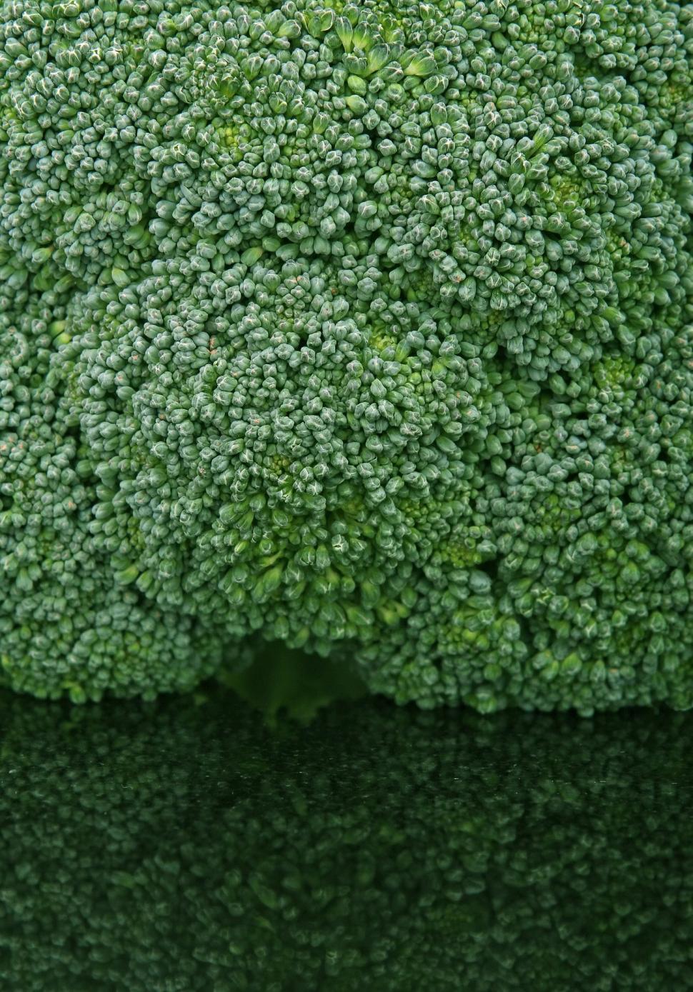 Free Image of Close Up of a Bunch of Broccoli 