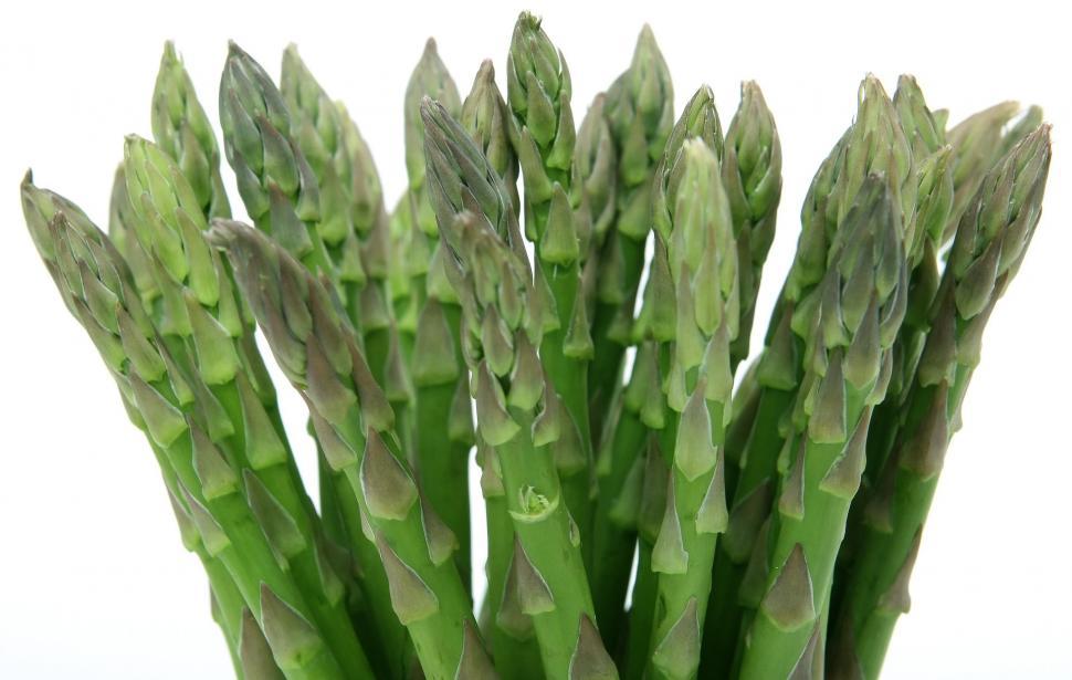 Free Image of Close Up of Fresh Green Asparagus Bunch 