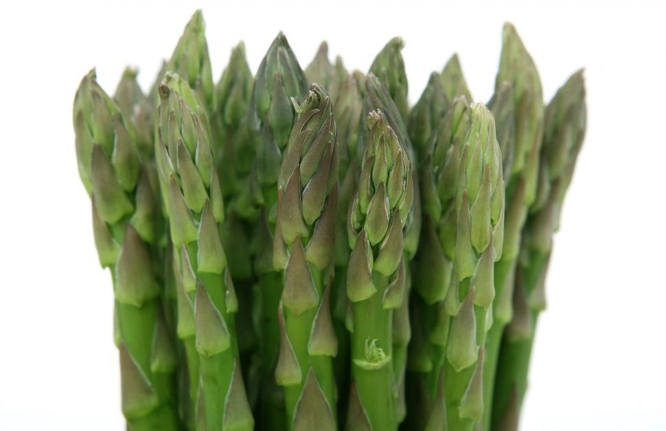 Free Image of Close Up of Fresh Asparagus Bunch 