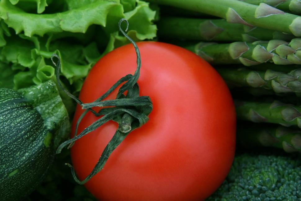 Free Image of Red Tomato on Pile of Green Vegetables 