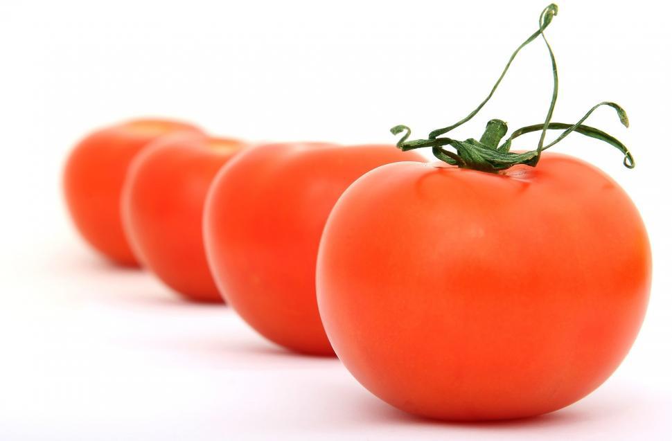 Free Image of Row of Tomatoes on White Background 