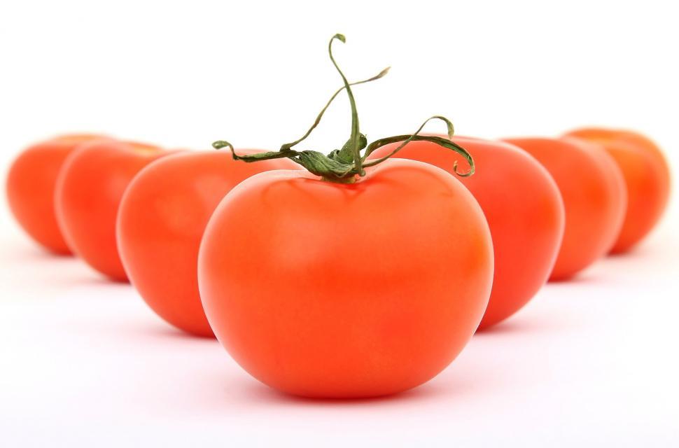 Free Image of Group of Tomatoes on White Background 