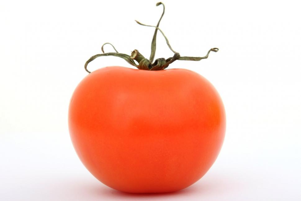 Free Image of Fresh Tomato With Stem on White Background 
