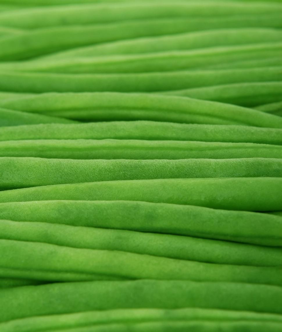 Free Image of Close Up of Green Fabric Texture 