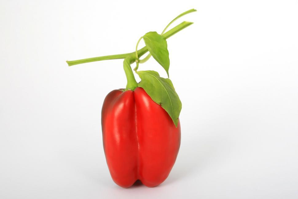 Free Image of pepper bell pepper chili sweet pepper vegetable food vegetarian fresh healthy ripe organic ingredient salad peppers vegetables paprika diet raw tomato vitamin bell yellow nutrition sweet freshness cooking eat tasty 
