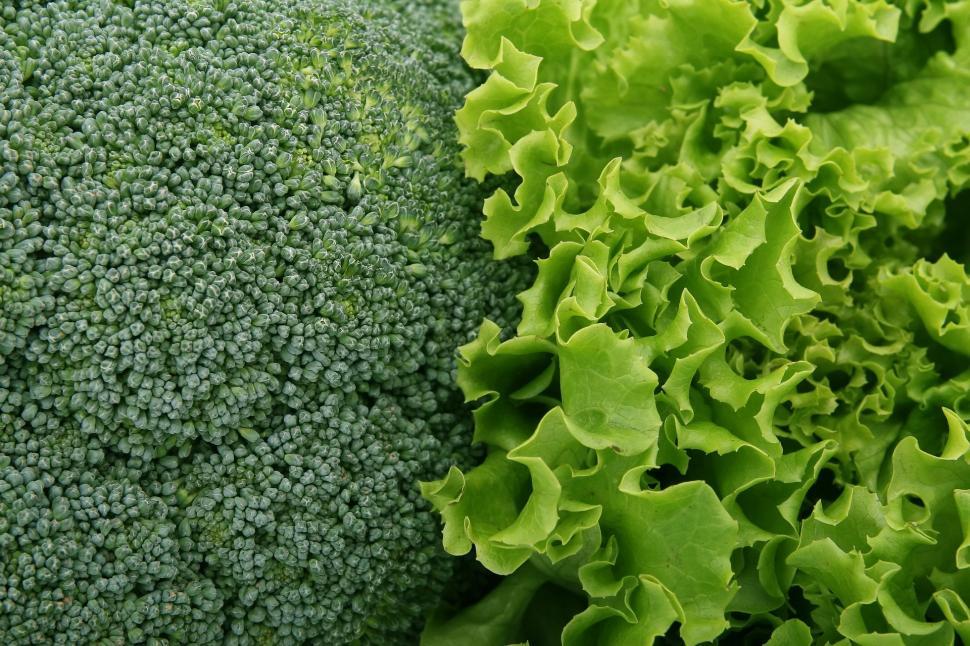 Free Image of Broccoli and lettuce 