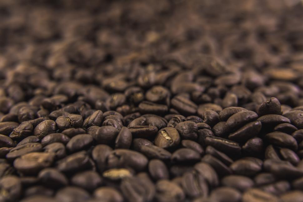 Download Free Stock Photo of Coffee Beans Texture 