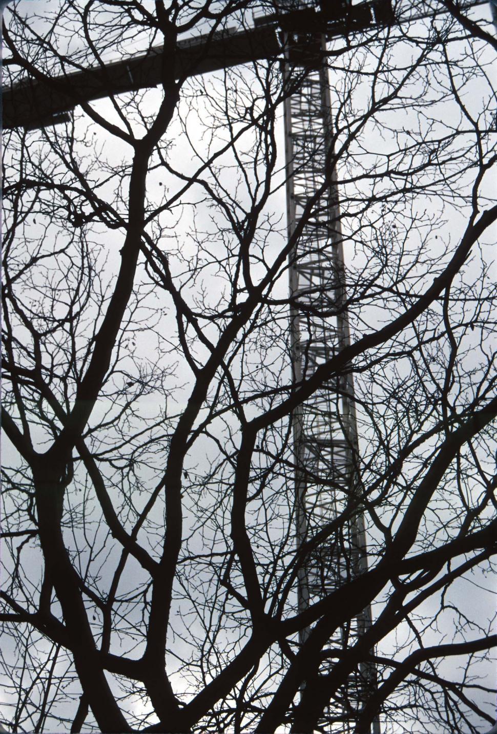 Free Image of Construction crane through tree 